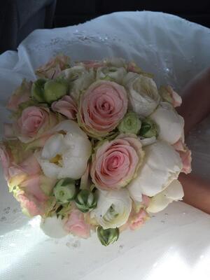 18883_839991036037915_4846311820838196848_n