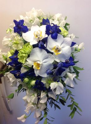 10385492_704333862936967_5706733883657135029_n