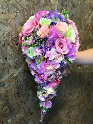 12006380_909012419135776_7497077551486375318_n